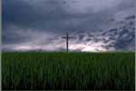 Крест в траве